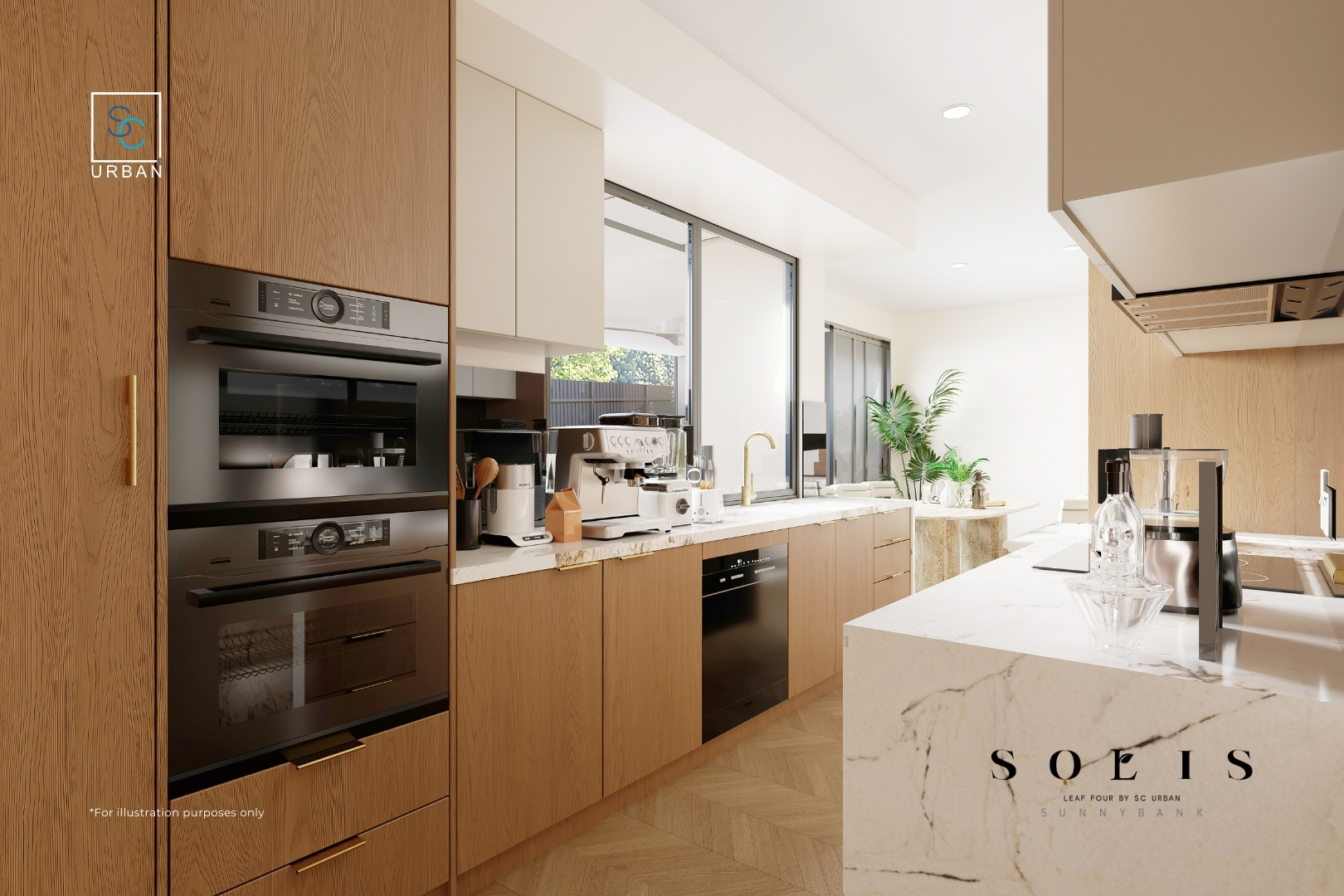 2026.02 Leaf2 - Solis 04.jpg